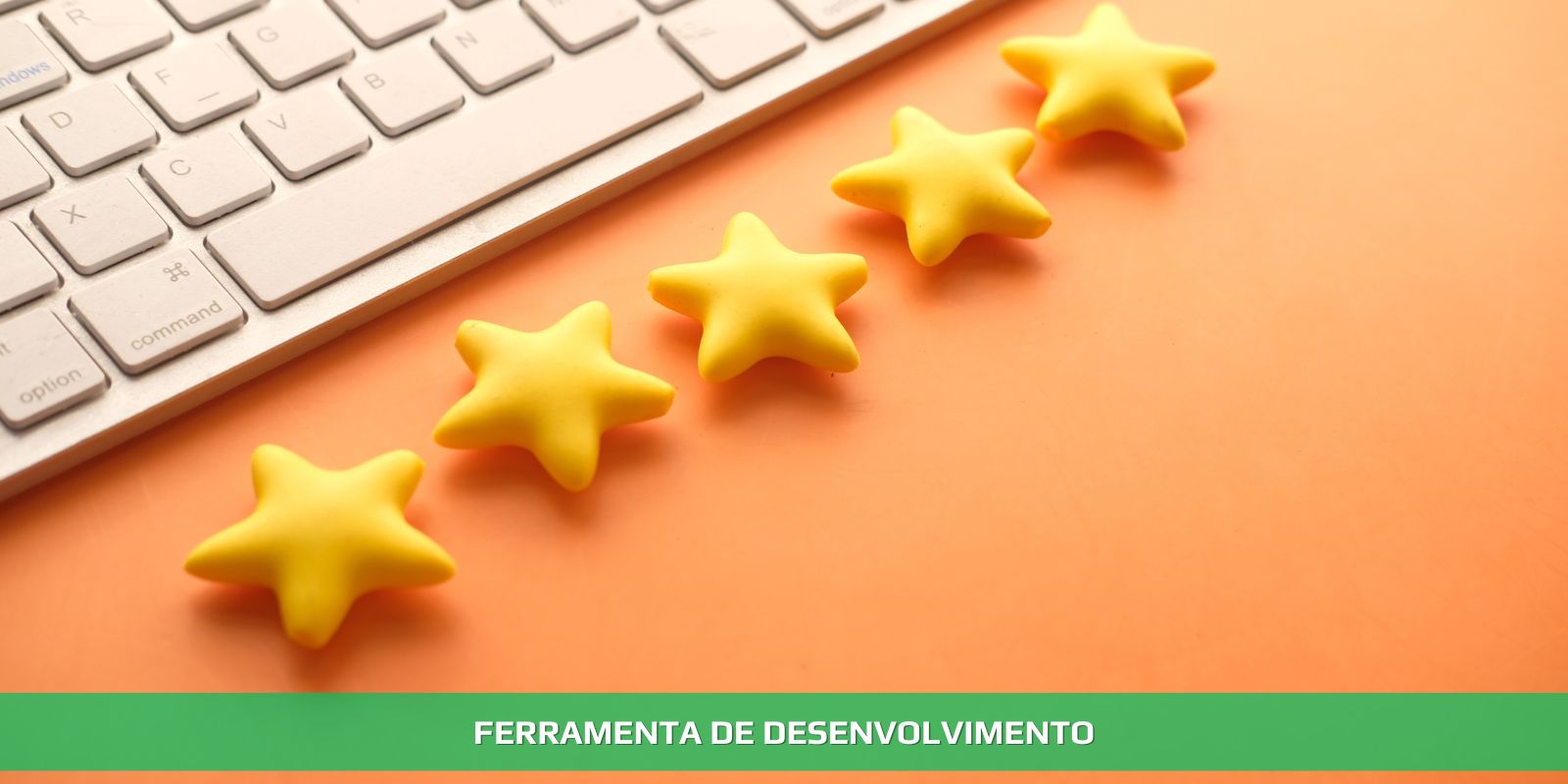 Figura 3 - FEEDBACK. O CONTROLE DOS MOVIMENTOS NA EMPRESA